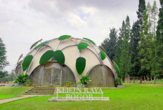 Keindahan Alam Bogor Destinasi Piknik Sempurna Bersama Keluarga 