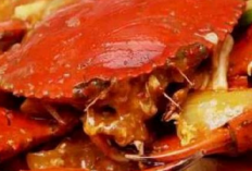 Pilihan Seafood Enak di Solo untuk Kuliner Malam Porsi Melimpah dan Harga Kaki Lima