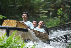 Strategi Cerdas Menikmati Wisata Edukasi, ini Harga Tiket Masuk Taman Safari Bogor 