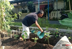 Motor Customnya Mendunia, Micho Justru Menemukan Ketenangan dari Kebun, Kolam Lele dan Angkringan