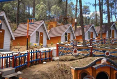 Rekomendasi Glamping Terbaik Tawangmangu untuk Healing Terbaik, Berikut Informasi Selengkapnya 