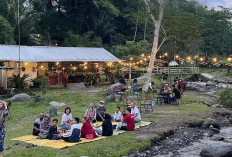 Daftar Penginapan Airbnb Vintage Terbaik untuk Pengalaman Menginap Unik di Jogja