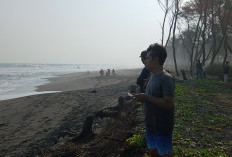 Ombak Besar Seret Dua Bocah di Pantai Goa Cemara Bantul, Sang Kakak Belum Ditemukan
