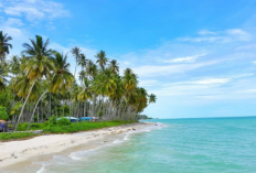 Menikmati Pasir Putih dan Kedamaian Tanpa Biaya di Pantai Biduk-Biduk, Cek Info Lengkapnya Disini