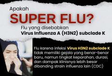 Dinkes DIY Konfirmasi Satu Kasus Super Flu H3N2 Subclade K, Pasien Bayi Sudah Sembuh