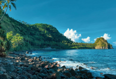 Magnet Wisata Rakyat yang Tak Pernah Pudar di Pesisir Nagekeo, Simak Ulasan Selengkapnya Berikut Ini