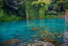 Situ Cipanten Menjadi Primadona Wisata di Majalengka yang Masuk Jajaran Elit Jawa Barat
