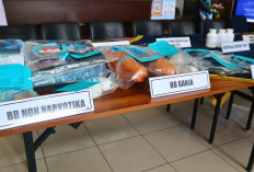 BNNP DIY Sita 2,71 Kg Ganja dan 93 Ribu Pil Trihexyphenidyl, Bongkar Jaringan Narkoba Lintas Provinsi