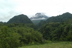 Meski Awan Panas Guguran Muncul, BPPTKG Pastikan Merapi Tetap Aman
