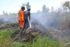 Karhutla di Indonesia Capai 48.889 Hektare, Guru Besar UGM Dorong Penguatan Penjagaan Hutan