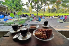 Wisata Kopi Susu Terenak di Yogyakarta dengan Cita Rasa Otentik yang Wajib Dicoba