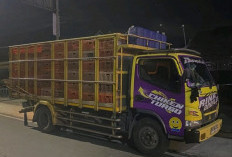 Diduga Terobos Lampu Merah, Truk Pengangkut Ayam Tabrak Yamaha Nmax di Simpang Tiga Cepit Bantul