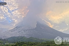 Awan Panas Guguran Merapi Meluncur 2 Kilometer Pagi Ini, Warga Diminta Jauhi Alur Sungai
