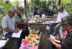 Warga Kalimantan Belajar Budidaya Lele dan Alpukat ke Sleman, Tertarik Model Pemberdayaan Lereng Merapi