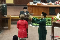 Jadi Anggota DPRD DIY Termuda, Isi Kursi PAW H Koeswanto, Cintya Amanda Siap Kolaborasi Dengan Anak Muda