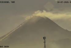 Merapi Erupsi Lagi, Awan Panas Guguran Mengarah ke Hulu Kali Sat/Putih Jumat Pagi
