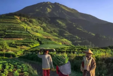Mantap, Ini Daftar Rekomendasi Destinasi Wisata Terjangkau di Magelang