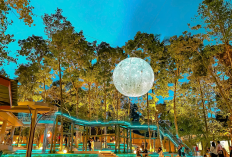 Kesejukan Lereng Merapi di HeHa Forest Jadi Pilihan Destinasi Wisata Keluarga Modern Terjangkau