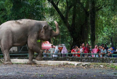 Destinasi Wisata Jakarta Ini Cocok Dijadikan Rekreasi Terjangkau untuk Keluarga, Cek Info Selengkapnya Disini