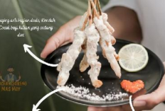 Pilihan Sate Taichan Enak di Salatiga Paling Hits yang Terjangkau jadi Kuliner Malam Favorit 