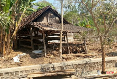 Kekeringan Gunungkidul Tak Hanya di Sisi Selatan, Sisi  Utara Saat Ini  Juga Mulai Kekeringan, Ini Sebabnya