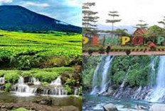 Sejuk dan Seru! 8 Tempat Wisata Hits Kota Pagar Alam, Estetik Banget Wajib Masuk Wishlist