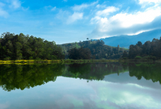 Wisata Wonosobo 2026, Dieng Negeri di Atas Awan, Keajaiban Alam Wonosobo, Budaya Wonosobo Simak Info Terbaru