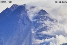 Awan Panas Guguran Merapi Terjadi Jumat Pagi, Luncur 1,5 Km ke Kali Krasak