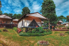 Daftar Glamping Kids Friendly di Bandung untuk Liburan Keluarga Seru, Cek Lokasinya Disini