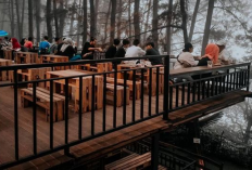 Kafe di Bogor dengan Panorama Gunung Paling Estetik Jadi Healing Sempurna di Akhir Pekan