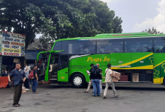 Arus Mudik di Terminal Jombor Mulai Meningkat, Rute Sumatera Jadi Favorit