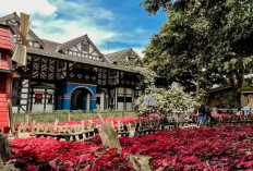 Pesona Eropa Indonesia Kunjungan ke Farm House Lembang Jelang Libur Lebaran 2026
