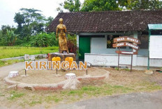 Desa Kiringan Tetap Jadi Sentra Jamu Gendong, 120 Perempuan Masih Setia Menjajakan Warisan Leluhur