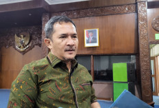 DPRD DIY Desak Hukuman Berat Pelaku Kasus Pengeroyokan Bantul dan Daycare, Usul Bentuk Satgas Khusus