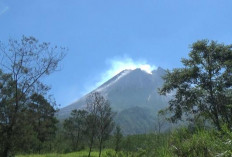 Merapi Luncurkan 5 Guguran Lava Sejauh 1,4 Kilometer, Warga Diminta Jauhi Zona Bahaya