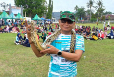 Saat Hadapi Ancaman Ular, Warga Diminta Tetap Tenang dan Tak Bertindak Gegabah