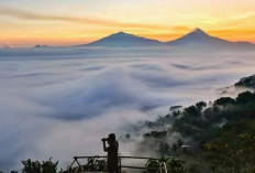 Cara Asyik Keliling Magelang dengan Trans Jateng hingga Spot Alam Instagramable