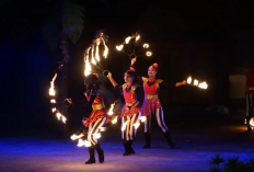 Safari Night Adventure Solo, Sensasi Menjelajah Hutan di Tengah Kota