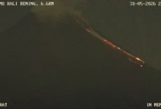  Awan Panas Guguran Meluncur 1 Kilometer dari Puncak Merapi Minggu Malam, Status Masih Siaga 