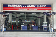 Destinasi Belanja Oleh-Oleh Terpopuler di Kota Semarang, Cek Ulasan Lengkapnya Sebagai Referensi Andalanmu