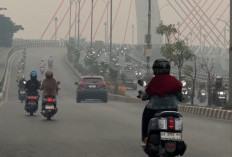 Mahasiswa UGM Desak ASEAN Bertindak, Pemerintah Dinilai Lamban Hadapi Kabut Asap Kalimantan