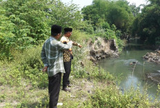  Talud Sungai Gajah Wong di Banguntapan Ambrol 40 Meter, Jembatan Terancam Rusak