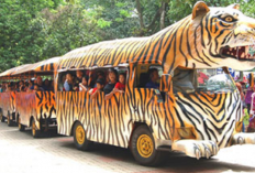Cara Seru Keliling Ragunan Tanpa Harus Lelah Berjalan Kaki Saat Momen Liburan Bersama Keluarga 