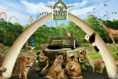 Liburan Seru ke Taman Safari Bogor dan Update Tiket April 2026