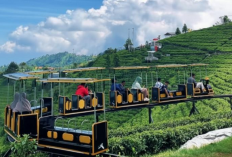 Kafe Hits Dekat Kemuning Sky Hills Karanganyar Paling Instagramable jadi Tempat Nongkrong Cozy 