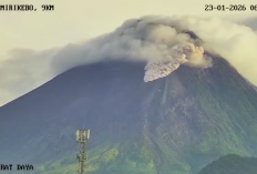 Awan Panas Guguran Terjadi di Gunung Merapi, Luncur 1 Kilometer ke Barat Daya