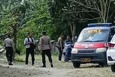 Doktor Keperawatan Jiwa Soroti Dugaan KDRT Balita di Bantul, Perlu Pendampingan Korban dan Pemeriksaan Ibu