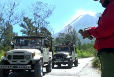 Aktivitas Vulkanik Merapi Meningkat, Wisatawan Diingatkan Tidak Memasuki Petak Sembilan