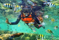 Pesona Snorkeling dan Ketenangan di Pantai Nglambor Yogyakarta