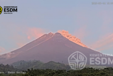 Awan Panas Guguran Terjadi di Gunung Merapi Sabtu Sore, Jarak Luncur 1,5 Km ke Arah Kali Boyong